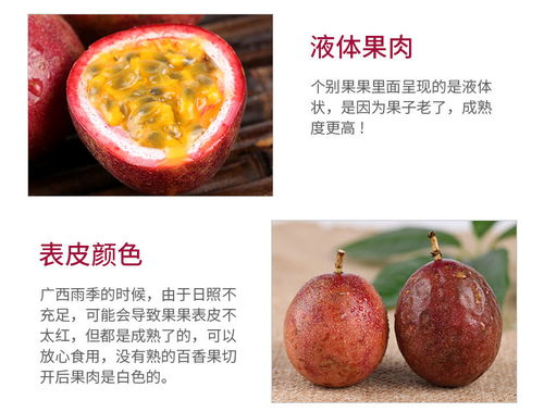 廣西百香果 現摘大果新鮮上市，優質批發直供市場