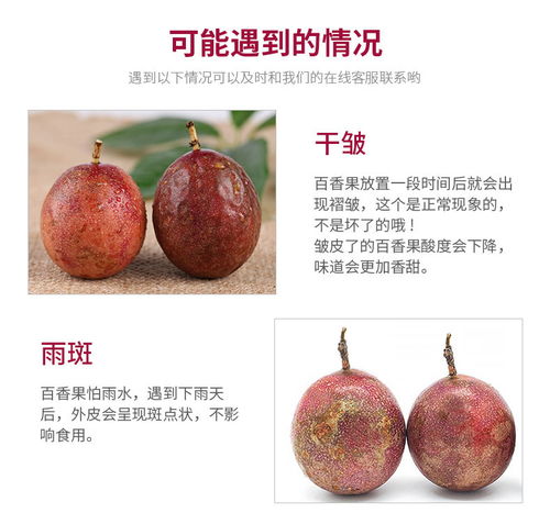 廣西百香果大果3斤現摘新鮮水果批發指南 把握黃金品質，搶占市場先機