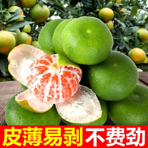 新鮮蜜橘批發指南 薄皮多汁，多倉直發